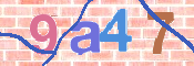 CAPTCHA 驗證圖片