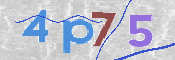CAPTCHA 驗證圖片
