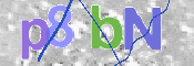 CAPTCHA 驗證圖片