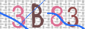 CAPTCHA 驗證圖片