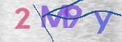 CAPTCHA 驗證圖片