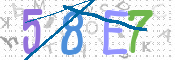 CAPTCHA 驗證圖片