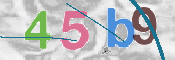 CAPTCHA 驗證圖片