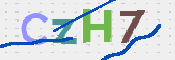 CAPTCHA 驗證圖片