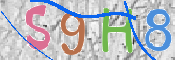 CAPTCHA 驗證圖片