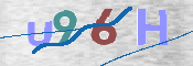 CAPTCHA 驗證圖片