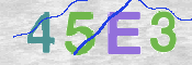 CAPTCHA 驗證圖片