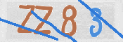 CAPTCHA 驗證圖片