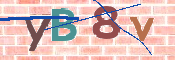CAPTCHA 驗證圖片