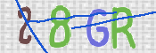 CAPTCHA 驗證圖片