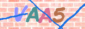 CAPTCHA 驗證圖片