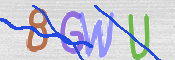 CAPTCHA 驗證圖片
