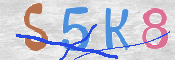 CAPTCHA 驗證圖片