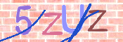 CAPTCHA 驗證圖片