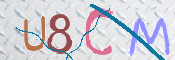 CAPTCHA 驗證圖片