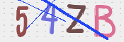 CAPTCHA 驗證圖片