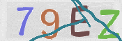CAPTCHA 驗證圖片