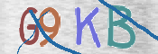 CAPTCHA 驗證圖片