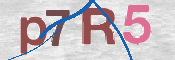 CAPTCHA 驗證圖片