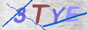 CAPTCHA 驗證圖片