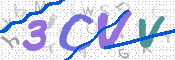 CAPTCHA 驗證圖片