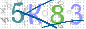 CAPTCHA 驗證圖片