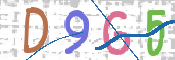 CAPTCHA 驗證圖片