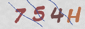 CAPTCHA 驗證圖片