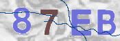 CAPTCHA 驗證圖片