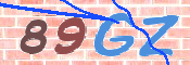 CAPTCHA 驗證圖片