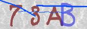 CAPTCHA 驗證圖片
