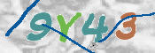 CAPTCHA 驗證圖片