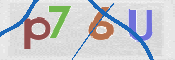 CAPTCHA 驗證圖片