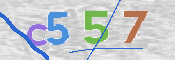 CAPTCHA 驗證圖片