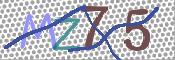 CAPTCHA 驗證圖片