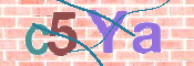 CAPTCHA 驗證圖片