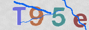 CAPTCHA 驗證圖片