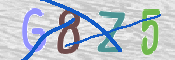 CAPTCHA 驗證圖片