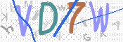 CAPTCHA 驗證圖片