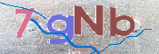 CAPTCHA 驗證圖片