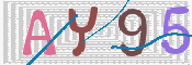 CAPTCHA 驗證圖片