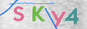 CAPTCHA 驗證圖片