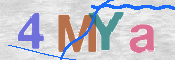 CAPTCHA 驗證圖片