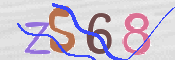 CAPTCHA 驗證圖片