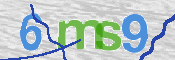 CAPTCHA 驗證圖片