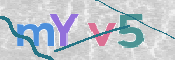 CAPTCHA 驗證圖片