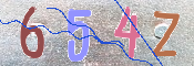 CAPTCHA 驗證圖片
