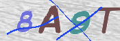 CAPTCHA 驗證圖片