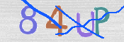 CAPTCHA 驗證圖片