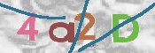 CAPTCHA 驗證圖片